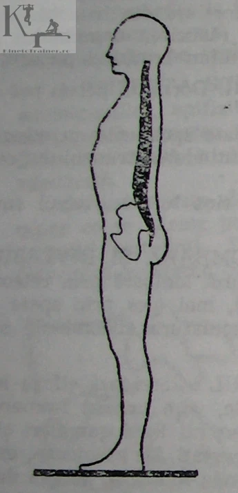 desen coloana vertebrala